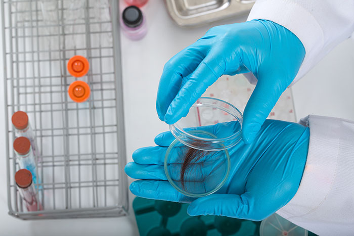 hair test sample being tested for drugs