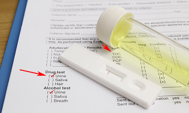 urine drug testing and toxin rid review