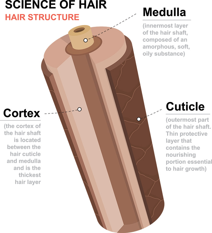 how toxin rid shampoo helps passing a hair follicle drug test